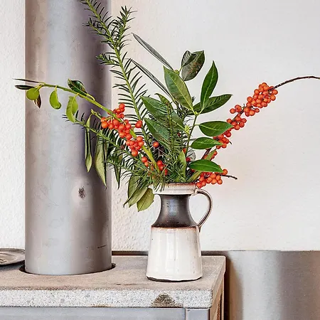 Апартаменты Haus Erna Am Deister Барзингхаузен